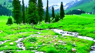 breathtaking views of beautiful nature