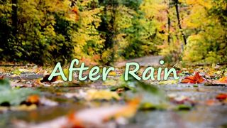 Beautiful nature song..