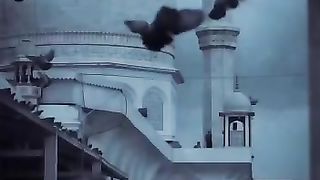 Beautiful Islamic Quotes In Urdu | Ramadan Quotes | #shorts | Rain of Wisdom