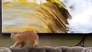 Food on watch