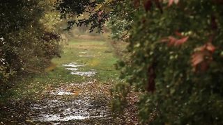 Nature, Québec, Canada - Épisode 1