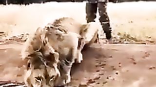 Awesome video ???? 42