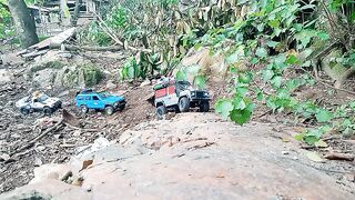 Car remote control versi offroad