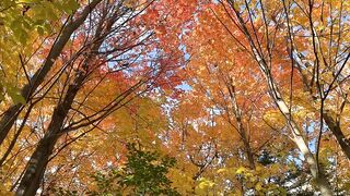 Autumn Nature Walk 2022 | Canada