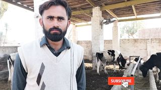 Dairy Farm Management