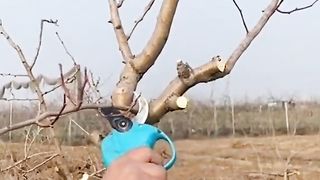 ЗА УСПЕШНА ГРАДИНА 4