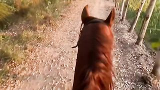 Horse riding 2