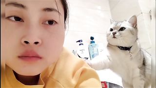 cute cat 5