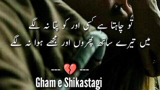 Best poetry collection