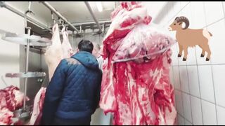 Halal Slaughter House | Halal Meat | Family Vlogs in Germany