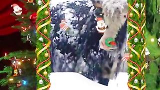 Naat Zameen puchti hai namaji Kahan hai