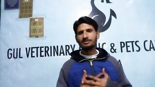 Surgery trick during pet surgery 3