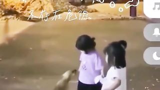 Funny video 128