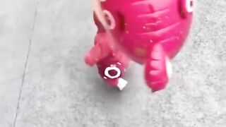 Most funniest video