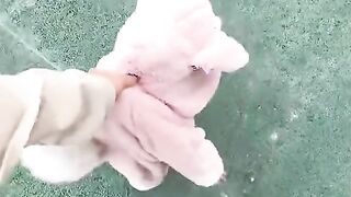 Video lucu bayi terpopuler 2