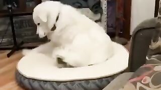 Был Лёха, стал лепёха