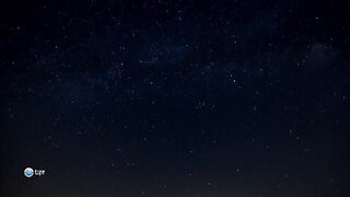 Личинка светлячка - это тонкая и беспощадная машина убийства.