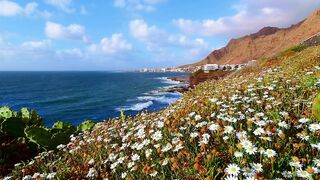 sea ​​and flowers