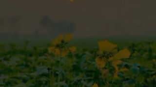 Sad poetry jutt life 10