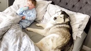 Funny videos 25