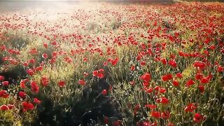 Beautiful Talawat//Islamic shorts#viral #viralislamicshorts #ytshorts #shortsfeed #beautifultalawat