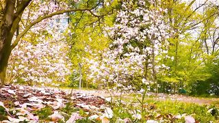 Beautiful Talawat//Islamic shorts#viral #viralislamicshorts #ytshorts #shortsfeed #beautifultalawat 2