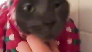Argent pour bébé ! ????????