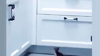 Cute and funny ????