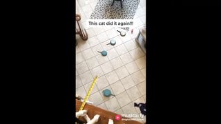 Trick shots on tik tok.