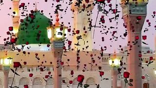 Good morning islamic status 3