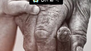 Without Father no life