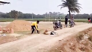 Funny video 140