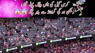 Chris Gayle king of cricket
