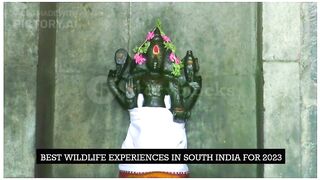 BEST WILDLIFE EXPERIENCES IN SOUTH INDIA FOR 2023