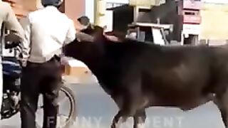 Funny video 143