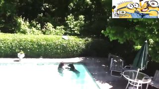Compilation of the best funny videos