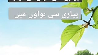 Good morning 7