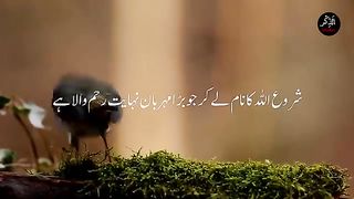 Surah Yaseen 2