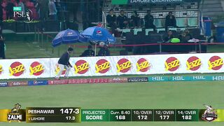 cricket hbl psl