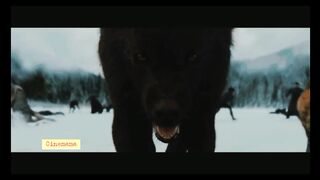 The Twilight Saga | Breaking Dawn Part 2 (2012) | The End of the Volturi Scene | Movieclips | markhor