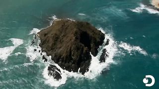 Bear Grylls Searches a Whole Island for Food | Man vs. Wild