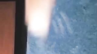 funny video pets
