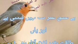 #poetry #