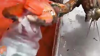 Maine lobster crusher vs pincher claw 3
