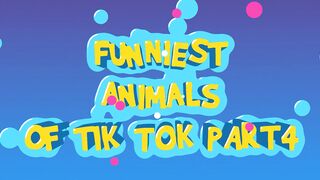 FUNNIEST ANIMALS OF TIK TOK