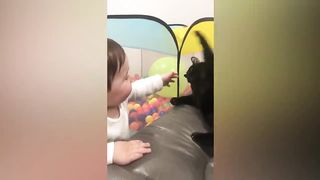Funny Cat and Baby