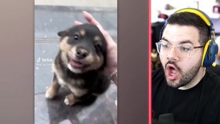 TikTok vs Shorts 8!