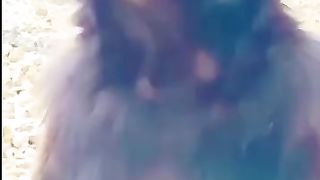 FUNNIEST MONKEY