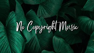 Chill Future Bass Vlog Music - No Copyright Music