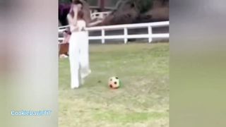 Funny Sigma TikTok Video